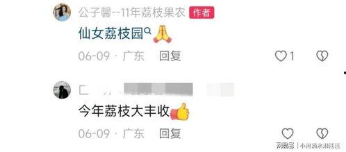 王搏被人爆料视频大全最新,揭秘网络爆料背后的真相与争议