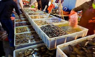 海鲜市场 爆料怎么做视频,揭秘幕后交易与新鲜资讯  第1张